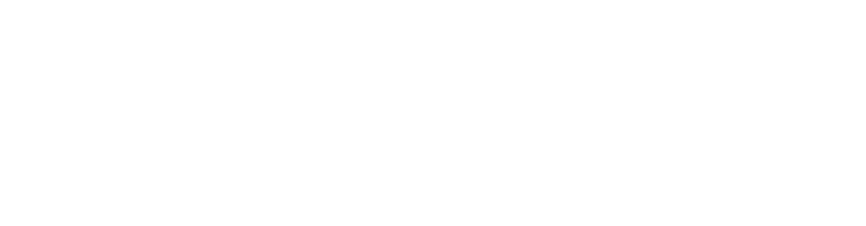 First or Nothing Footer Logo